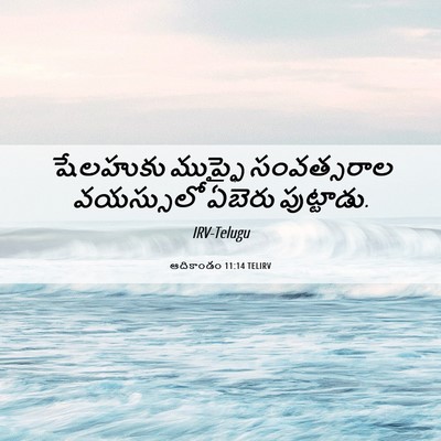 Picture 06 - ఆదికాండం 11:14 TELIRV - షేలహుకు ముప్ఫై - Bible Verse Picture
