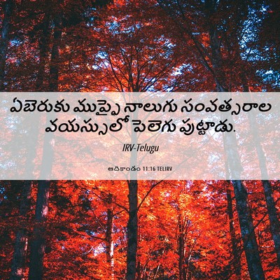 Picture 06 - ఆదికాండం 11:16 TELIRV - ఏబెరుకు ముప్ఫై - Bible Verse Picture