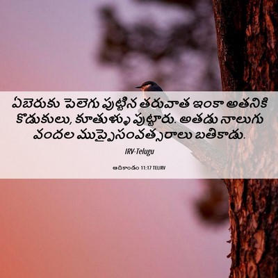 Picture 06 - ఆదికాండం 11:17 TELIRV - ఏబెరుకు పెలెగు - Bible Verse Picture