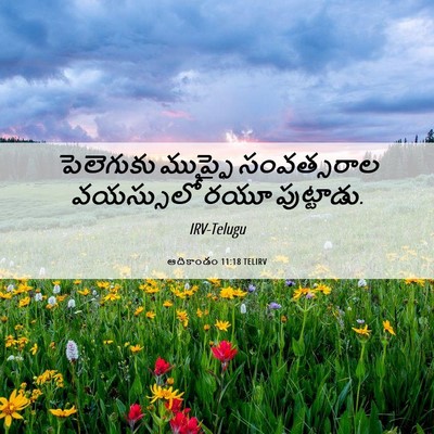 Picture 06 - ఆదికాండం 11:18 TELIRV - పెలెగుకు ముప్ఫై - Bible Verse Picture
