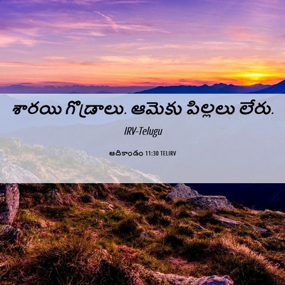 Picture 06 - ఆదికాండం 11:30 TELIRV - శారయి గొడ్రాలు. - Bible Verse Picture