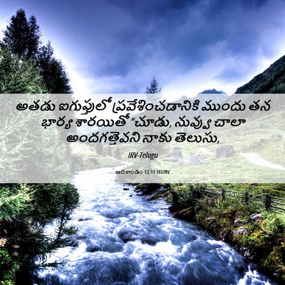 Picture 06 - ఆదికాండం 12:11 TELIRV - అతడు ఐగుప్తులో - Bible Verse Picture