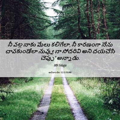 Picture 06 - ఆదికాండం 12:13 TELIRV - నీ వల్ల నాకు మేలు - Bible Verse Picture