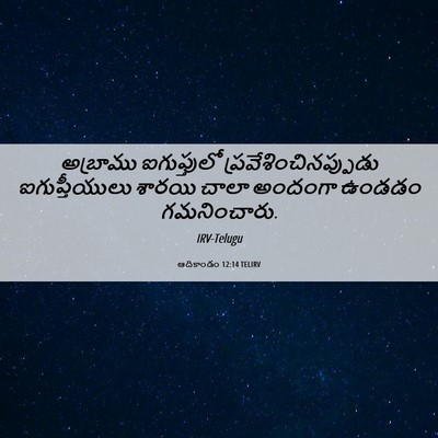 Picture 06 - ఆదికాండం 12:14 TELIRV - అబ్రాము ఐగుప్తులో - Bible Verse Picture