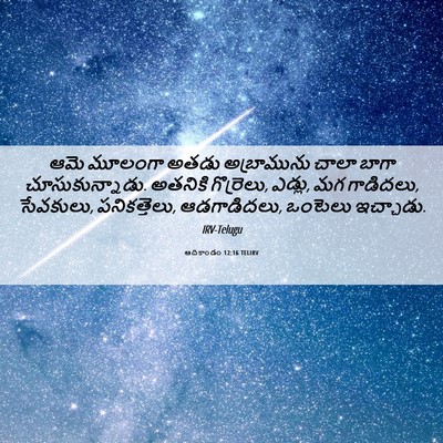 Picture 06 - ఆదికాండం 12:16 TELIRV - ఆమె మూలంగా అతడు - Bible Verse Picture