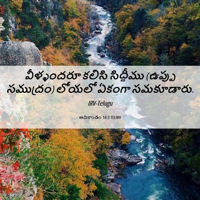 Picture 06 - ఆదికాండం 14:3 TELIRV - వీళ్ళందరూ కలిసి - Bible Verse Picture