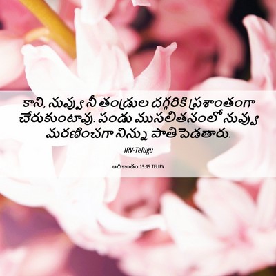 Picture 06 - ఆదికాండం 15:15 TELIRV - కాని, నువ్వు నీ - Bible Verse Picture