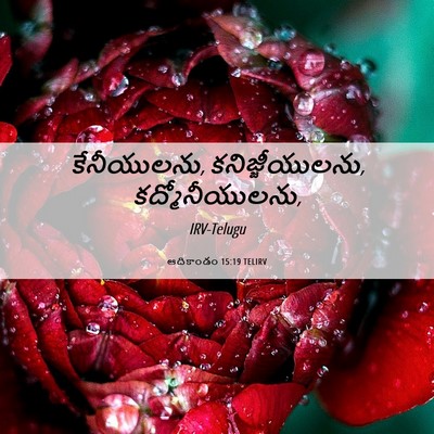Picture 06 - ఆదికాండం 15:19 TELIRV - కేనీయులను, - Bible Verse Picture