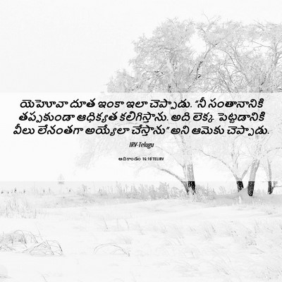 Picture 06 - ఆదికాండం 16:10 TELIRV - యెహోవా దూత ఇంకా - Bible Verse Picture
