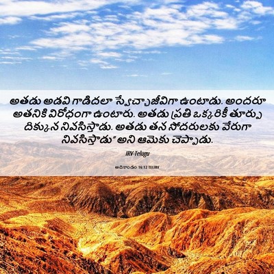 Picture 06 - ఆదికాండం 16:12 TELIRV - అతడు అడవి గాడిదలా - Bible Verse Picture