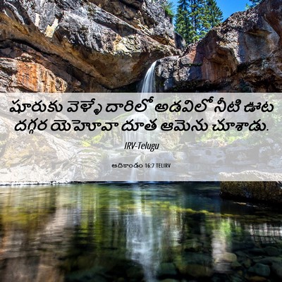 Picture 06 - ఆదికాండం 16:7 TELIRV - షూరుకు వెళ్ళే - Bible Verse Picture