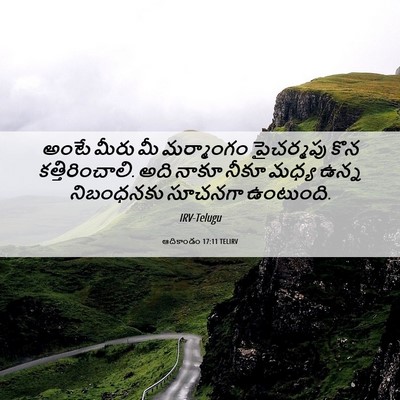 Picture 06 - ఆదికాండం 17:11 TELIRV - అంటే మీరు మీ - Bible Verse Picture