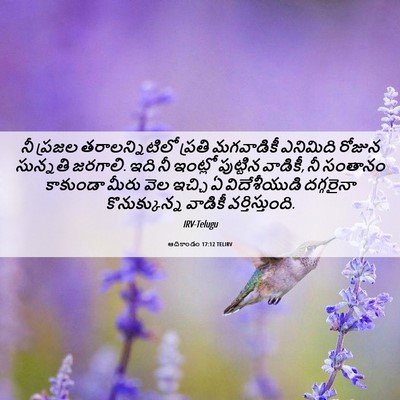 Picture 06 - ఆదికాండం 17:12 TELIRV - నీ ప్రజల - Bible Verse Picture
