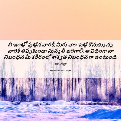 Picture 06 - ఆదికాండం 17:13 TELIRV - నీ ఇంట్లో పుట్టిన - Bible Verse Picture