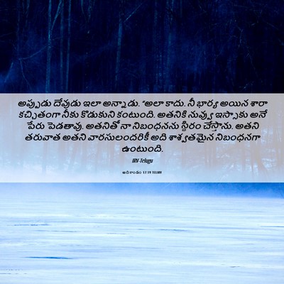 Picture 06 - ఆదికాండం 17:19 TELIRV - అప్పుడు దేవుడు - Bible Verse Picture