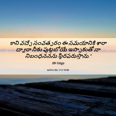 Picture 06 - ఆదికాండం 17:21 TELIRV - కాని వచ్చే - Bible Verse Picture