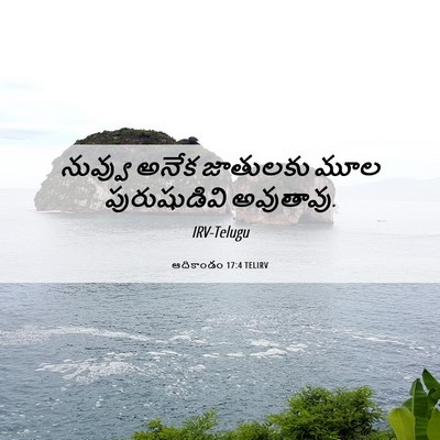 Picture 06 - ఆదికాండం 17:4 TELIRV - నువ్వు అనేక - Bible Verse Picture