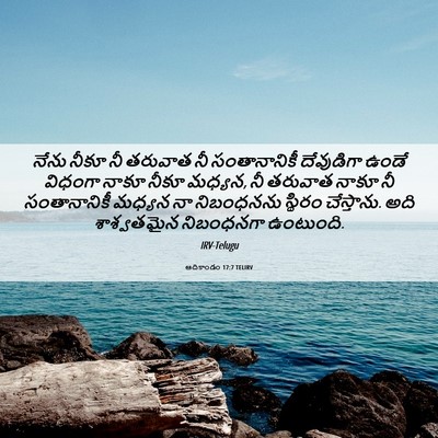 Picture 06 - ఆదికాండం 17:7 TELIRV - నేను నీకూ నీ - Bible Verse Picture