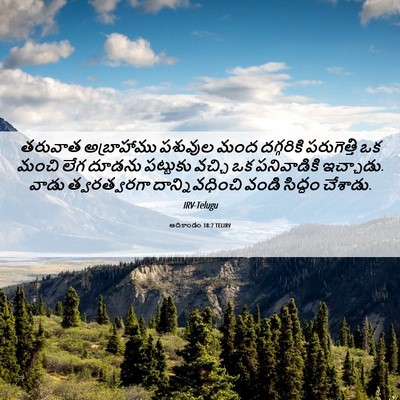 Picture 06 - ఆదికాండం 18:7 TELIRV - తరువాత అబ్రాహాము - Bible Verse Picture