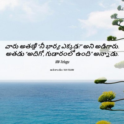 Picture 06 - ఆదికాండం 18:9 TELIRV - వారు అతణ్ణి “నీ - Bible Verse Picture