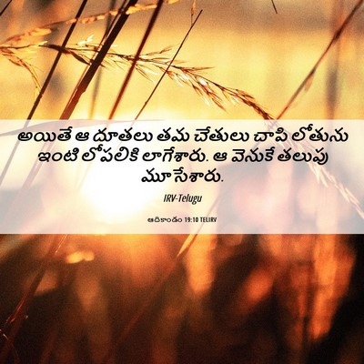 Picture 06 - ఆదికాండం 19:10 TELIRV - అయితే ఆ దూతలు తమ - Bible Verse Picture