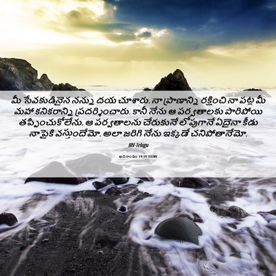 Picture 06 - ఆదికాండం 19:19 TELIRV - మీ సేవకుడినైన - Bible Verse Picture