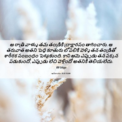 Picture 06 - ఆదికాండం 19:33 TELIRV - ఆ రాత్రి వాళ్ళు తమ - Bible Verse Picture