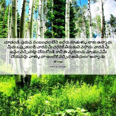 Picture 06 - ఆదికాండం 19:8 TELIRV - చూడండి. పురుష - Bible Verse Picture