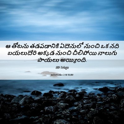 Picture 06 - ఆదికాండం 2:10 TELIRV - ఆ తోటను తడపడానికి - Bible Verse Picture