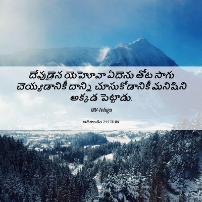 Picture 06 - ఆదికాండం 2:15 TELIRV - దేవుడైన యెహోవా - Bible Verse Picture