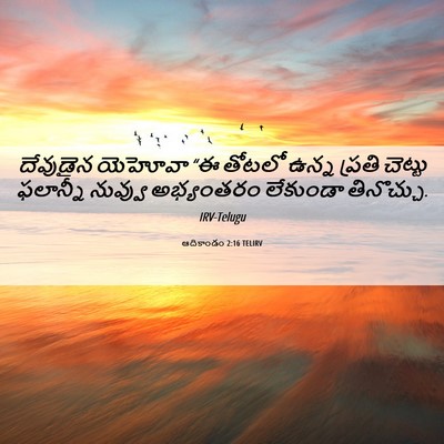 Picture 06 - ఆదికాండం 2:16 TELIRV - దేవుడైన యెహోవా “ఈ - Bible Verse Picture