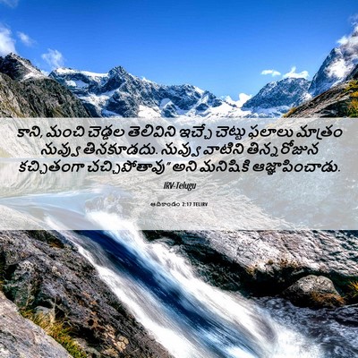 Picture 06 - ఆదికాండం 2:17 TELIRV - కాని, మంచి చెడ్డల - Bible Verse Picture