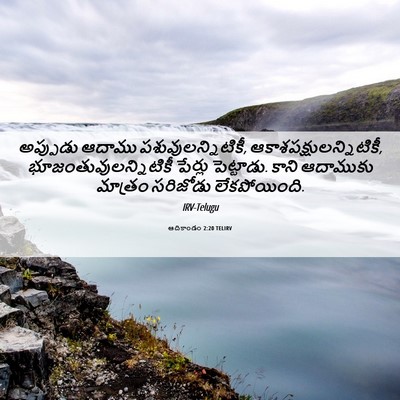 Picture 06 - ఆదికాండం 2:20 TELIRV - అప్పుడు ఆదాము - Bible Verse Picture