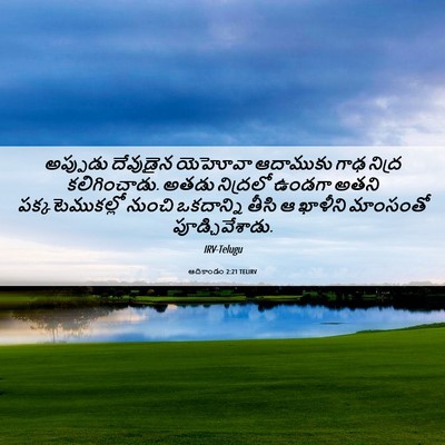 Picture 06 - ఆదికాండం 2:21 TELIRV - అప్పుడు దేవుడైన - Bible Verse Picture