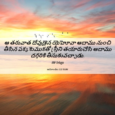 Picture 06 - ఆదికాండం 2:22 TELIRV - ఆ తరువాత దేవుడైన - Bible Verse Picture