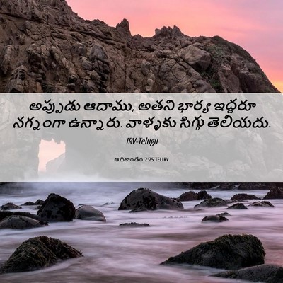 Picture 06 - ఆదికాండం 2:25 TELIRV - అప్పుడు ఆదాము, - Bible Verse Picture