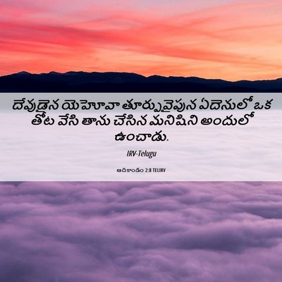 Picture 06 - ఆదికాండం 2:8 TELIRV - దేవుడైన యెహోవా - Bible Verse Picture