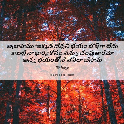 Picture 06 - ఆదికాండం 20:11 TELIRV - అబ్రాహాము “ఇక్కడ - Bible Verse Picture