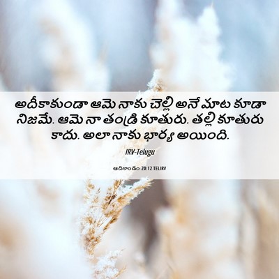 Picture 06 - ఆదికాండం 20:12 TELIRV - అదీకాకుండా ఆమె - Bible Verse Picture