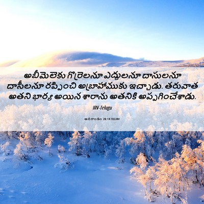 Picture 06 - ఆదికాండం 20:14 TELIRV - అబీమెలెకు - Bible Verse Picture