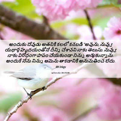 Picture 06 - ఆదికాండం 20:6 TELIRV - అందుకు దేవుడు - Bible Verse Picture