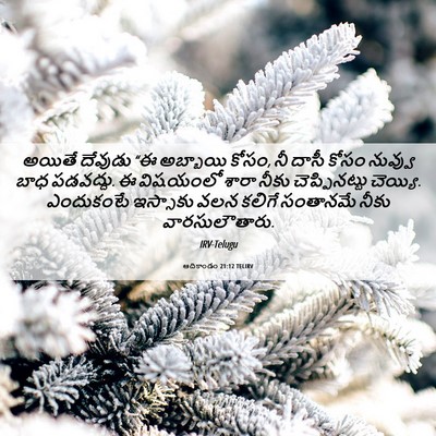 Picture 06 - ఆదికాండం 21:12 TELIRV - అయితే దేవుడు “ఈ - Bible Verse Picture