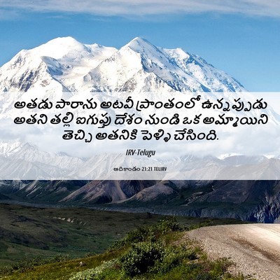 Picture 06 - ఆదికాండం 21:21 TELIRV - అతడు పారాను అటవీ - Bible Verse Picture