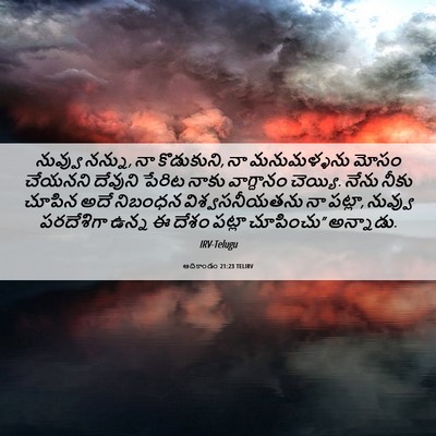 Picture 06 - ఆదికాండం 21:23 TELIRV - నువ్వు నన్ను, నా - Bible Verse Picture