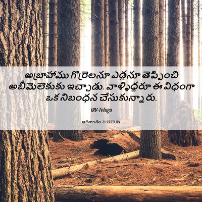 Picture 06 - ఆదికాండం 21:27 TELIRV - అబ్రాహాము - Bible Verse Picture