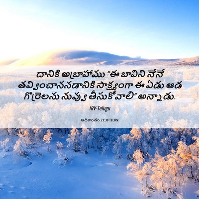 Picture 06 - ఆదికాండం 21:30 TELIRV - దానికి అబ్రాహాము - Bible Verse Picture