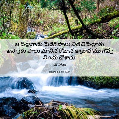 Picture 06 - ఆదికాండం 21:8 TELIRV - ఆ పిల్లవాడు - Bible Verse Picture