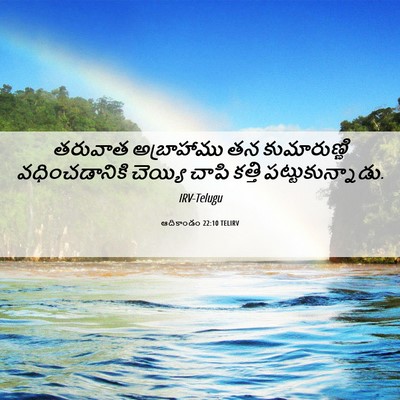 Picture 06 - ఆదికాండం 22:10 TELIRV - తరువాత అబ్రాహాము - Bible Verse Picture