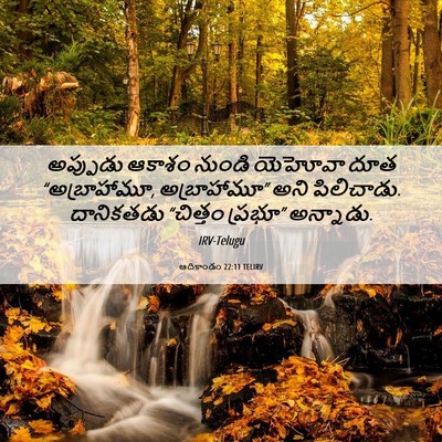 Picture 06 - ఆదికాండం 22:11 TELIRV - అప్పుడు ఆకాశం - Bible Verse Picture