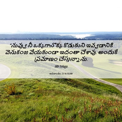 Picture 06 - ఆదికాండం 22:16 TELIRV - “నువ్వు నీ - Bible Verse Picture